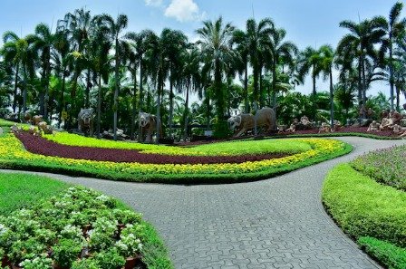Green Glade